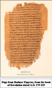 BodmerPapyrus