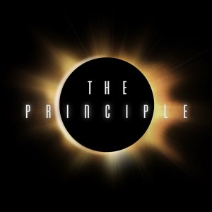 the principle